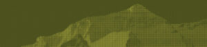 Background-green-stories