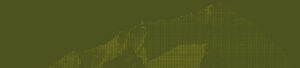 Background-green-stories2